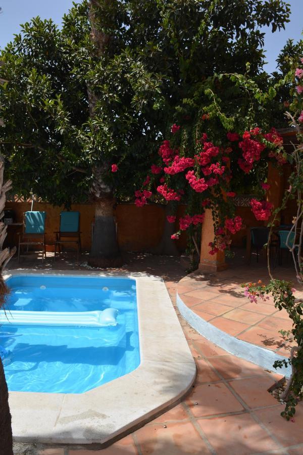 Apartamento Con Jacuzzi Y Terraza Con Opcion A Piscina Privada Almunecar Exterior foto